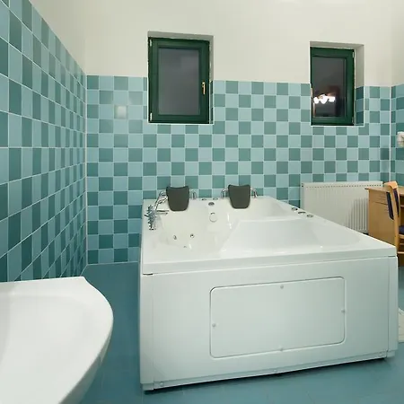 酒店 Grand Třebíč